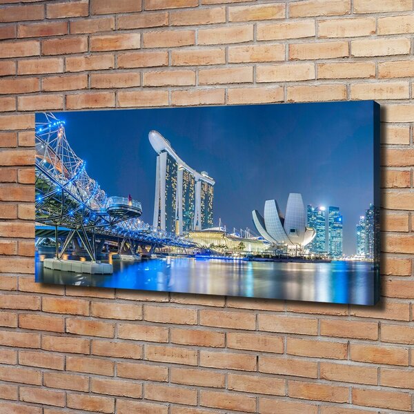 Moderní obraz canvas na rámu Singapur noc oc-63023260
