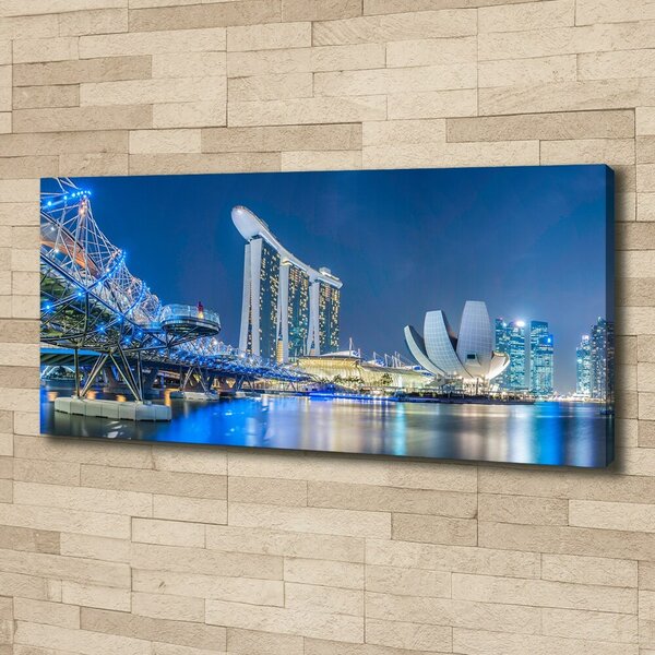 Moderní obraz canvas na rámu Singapur noc oc-63023260