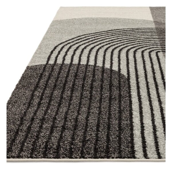 Šedý koberec 170x120 cm Muse - Asiatic Carpets