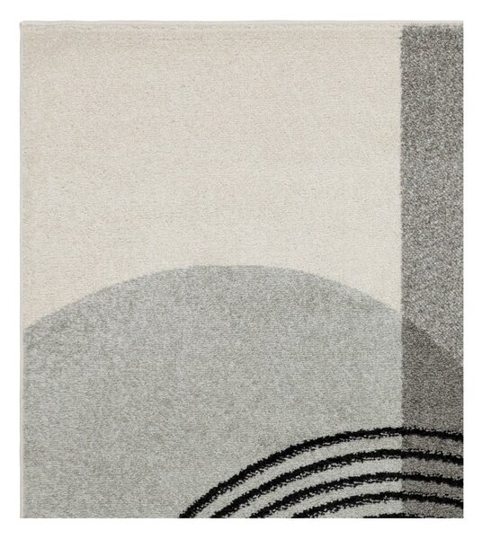 Šedý koberec 170x120 cm Muse - Asiatic Carpets