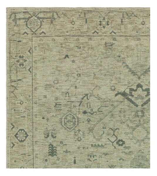 Zelený koberec 170x120 cm Kaya - Asiatic Carpets