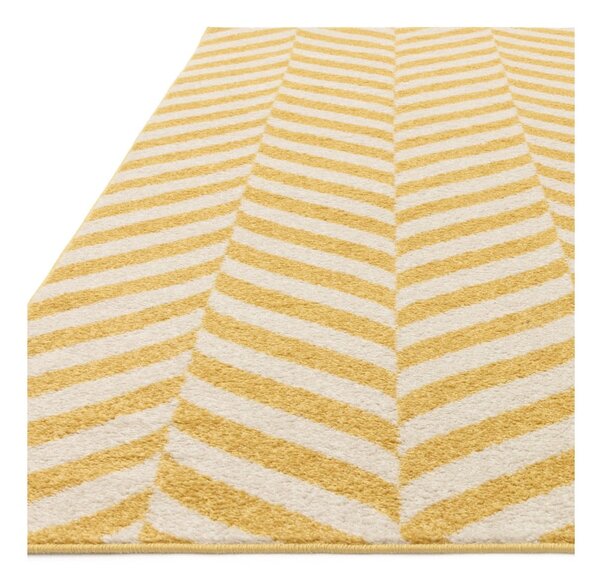 Žlutý koberec 170x120 cm Muse - Asiatic Carpets