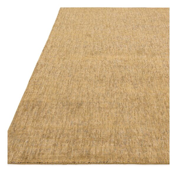 Žlutý koberec 230x160 cm Aston - Asiatic Carpets