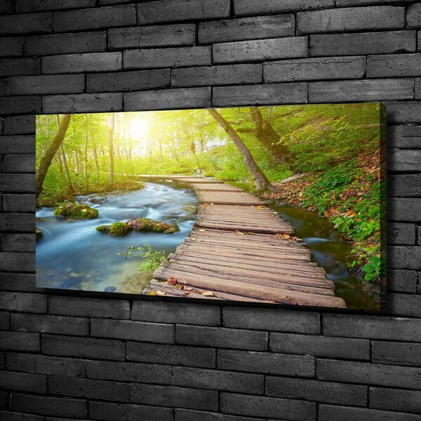 Foto obraz canvas Stezka v lese oc-63778873