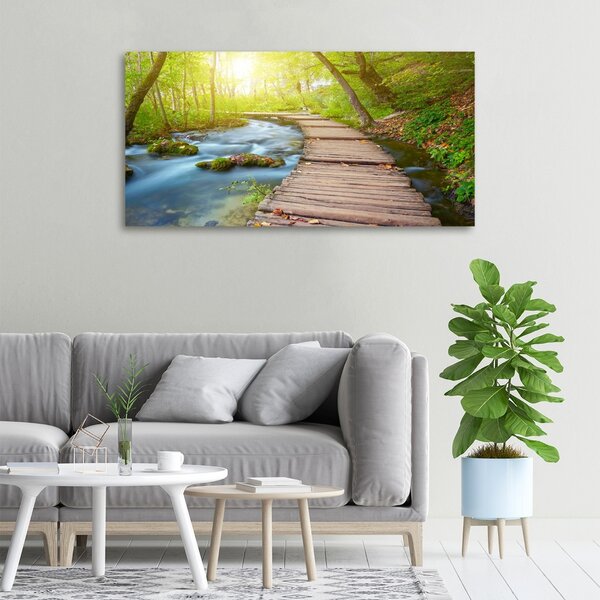Foto obraz canvas Stezka v lese oc-63778873