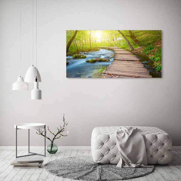 Foto obraz canvas Stezka v lese oc-63778873