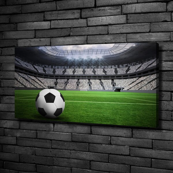 Foto obraz na plátně Míč na stadioně oc-63931532
