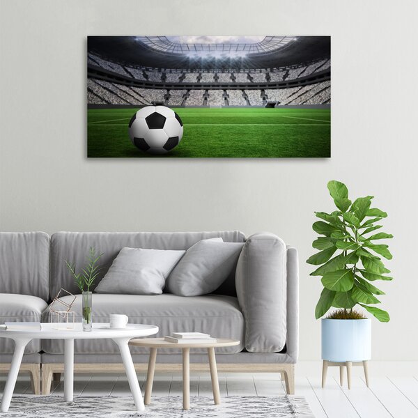 Foto obraz na plátně Míč na stadioně oc-63931532