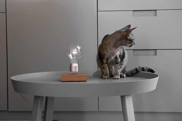Flyte designové levitující stolní lampy Flyte