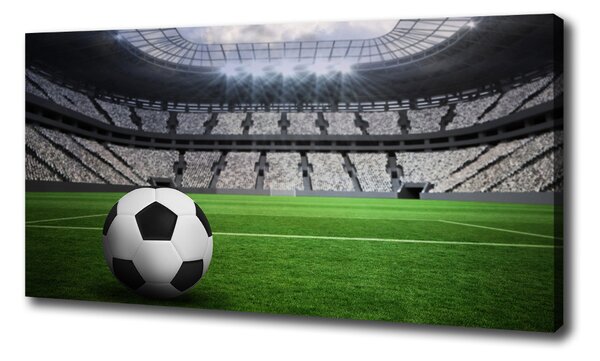 Foto obraz na plátně Míč na stadioně oc-63931532