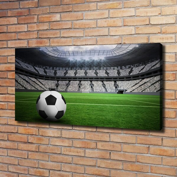 Foto obraz na plátně Míč na stadioně oc-63931532