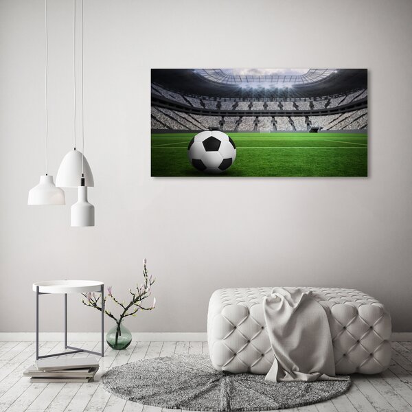 Foto obraz na plátně Míč na stadioně oc-63931532