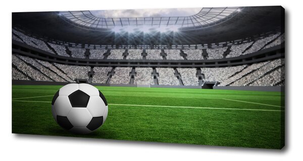 Foto obraz na plátně Míč na stadioně oc-63931532