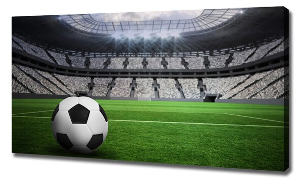Foto obraz na plátně Míč na stadioně oc-63931532
