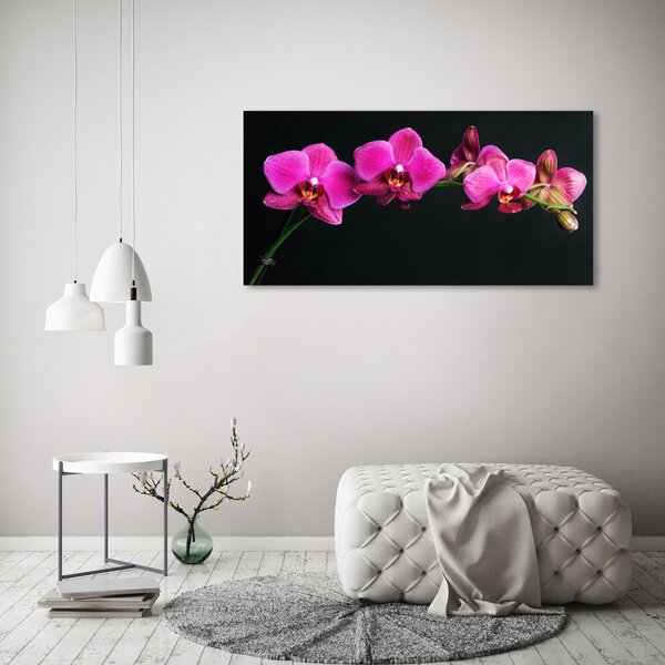 Foto obraz na plátně Orchidej oc-64284743