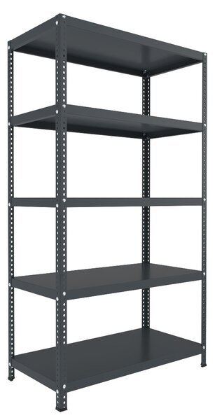 Šroubovaný regál Biedrax 30 x 100 x 150 cm, antracitový, 5 polic, nosnost 150 kg na polici
