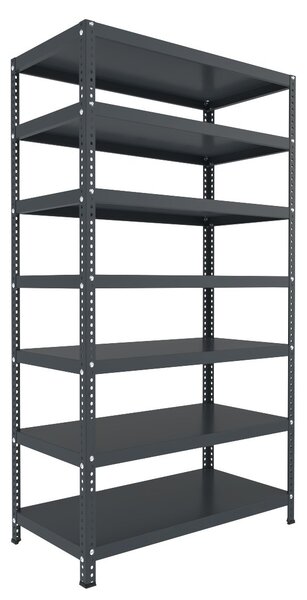 Šroubovaný regál do domácnosti Biedrax 30 x 100 x 250 cm, antracitový, 7 polic, nosnost 150 kg na polici