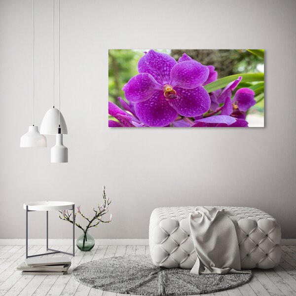 Foto obraz na plátně Orchidej oc-64607986
