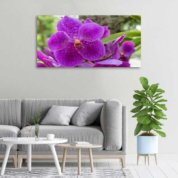 Foto obraz na plátně Orchidej oc-64607986