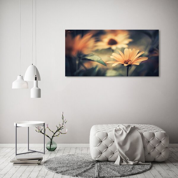 Moderní obraz canvas na rámu Jarní květ oc-64765143