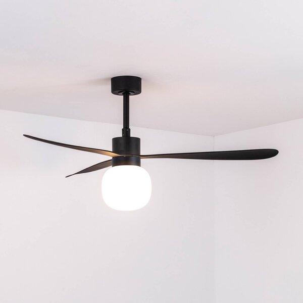FARO BARCELONA LED stropní ventilátor Amelia Ball L, černý, DC, tichý, stmívatelný, Černá, Obývací pokoj / jídelna, Plast, Moderní