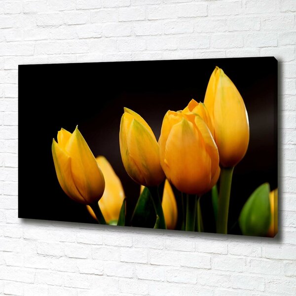 Foto obraz na plátně Žluté tulipány oc-64836622