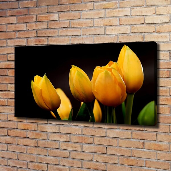 Foto obraz na plátně Žluté tulipány oc-64836622