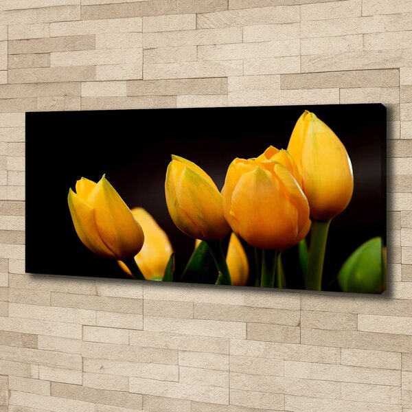Foto obraz na plátně Žluté tulipány oc-64836622