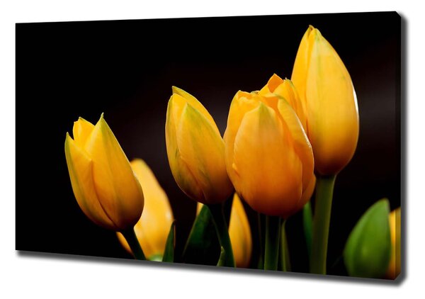 Foto obraz na plátně Žluté tulipány oc-64836622