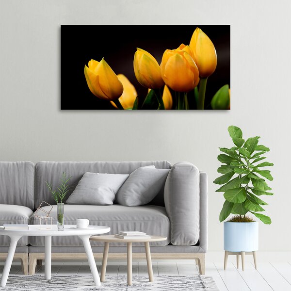 Foto obraz na plátně Žluté tulipány oc-64836622