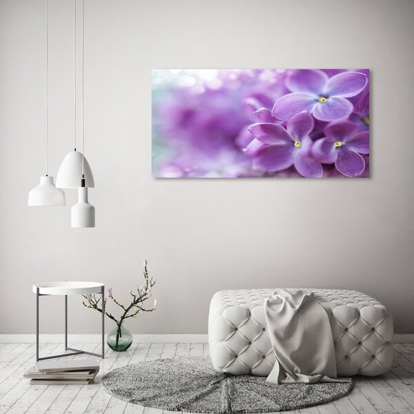 Foto obraz canvas Květ bzu oc-64853789