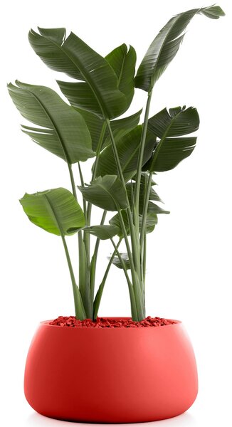Diabla designové květináče Gobi 3