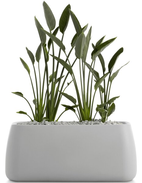 Diabla designové květináče Gobi 5