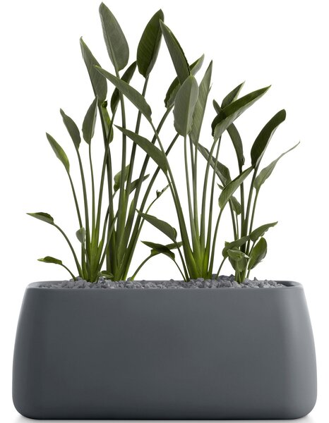 Diabla designové květináče Gobi 5