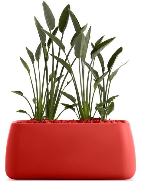 Diabla designové květináče Gobi 5