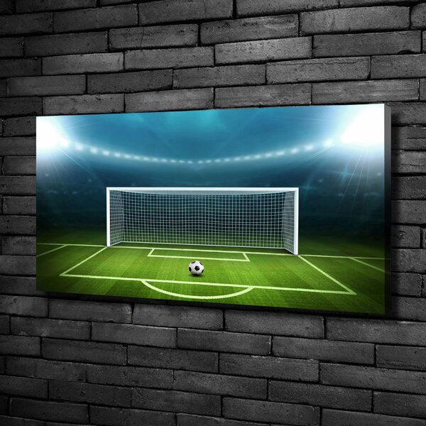 Moderní obraz canvas na rámu Stadion oc-65375942