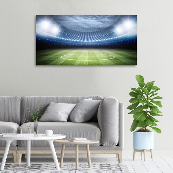 Foto obraz na plátně Stadion oc-65377404