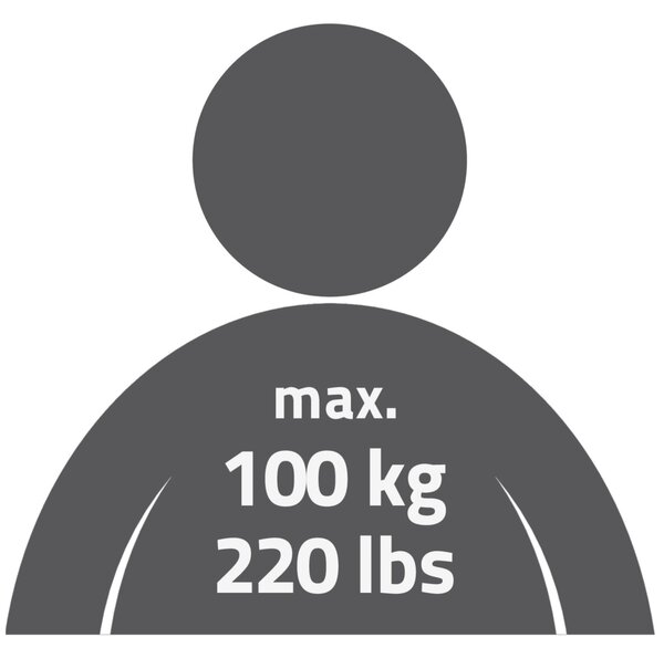 Ridder Premium Madlo přísavné, nosnost 120 KG délka 33 cm (A0243301), MK43192