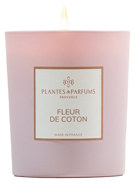 Plantes et Parfums de Provence Fleur de Coton