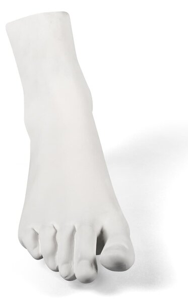 Seletti designové dekorace Memorabilia Mvsevm Male Foot