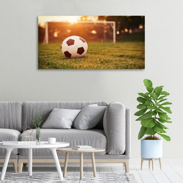 Foto obraz canvas Míč na hřišti oc-66115658