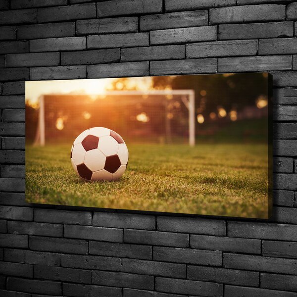 Foto obraz canvas Míč na hřišti oc-66115658