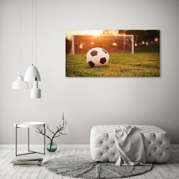 Foto obraz canvas Míč na hřišti oc-66115658