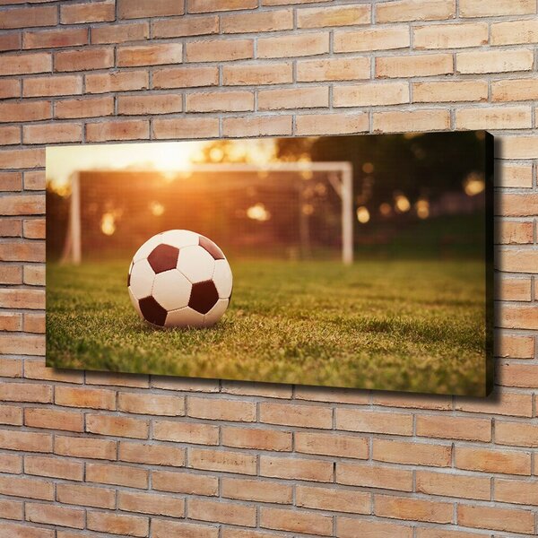 Foto obraz canvas Míč na hřišti oc-66115658