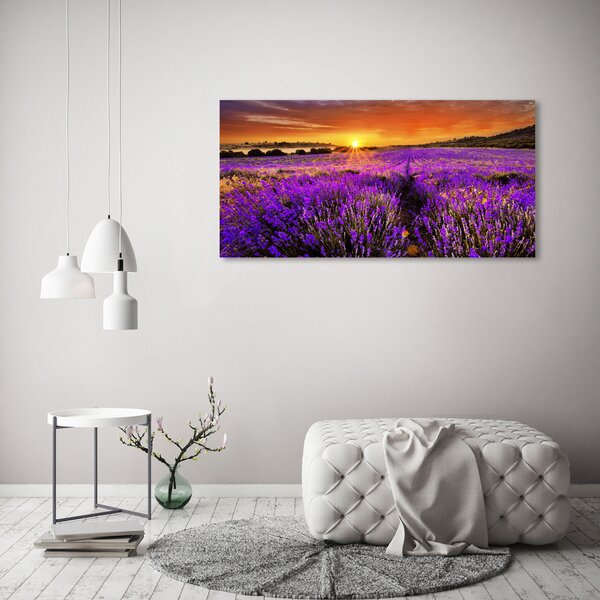 Foto obraz canvas Pole levandule oc-66255723