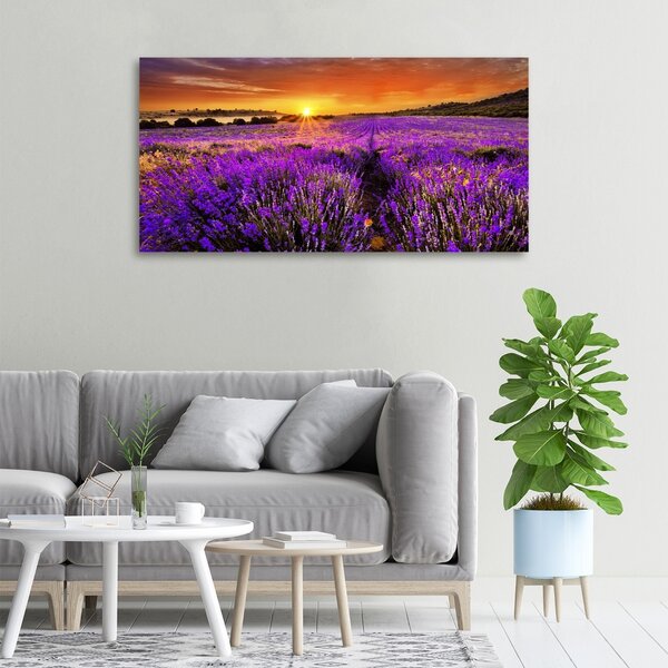 Foto obraz canvas Pole levandule oc-66255723