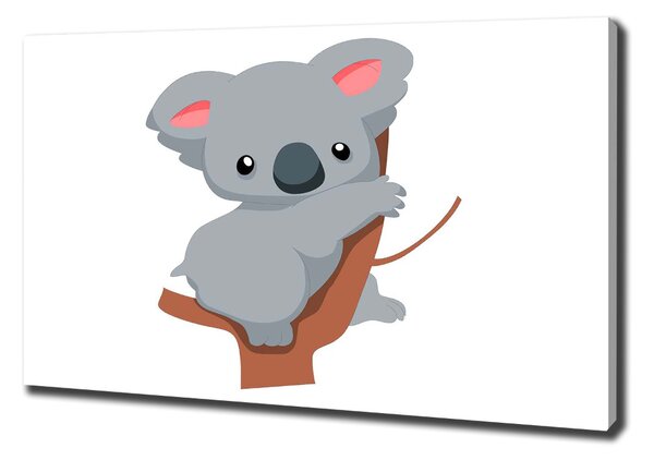 Foto obraz na plátně Koala na stromě oc-66617317