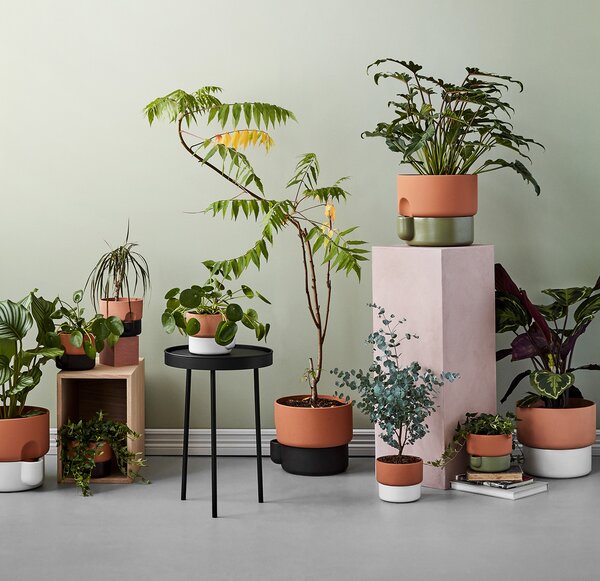 Northern designové květináče Oasis Small