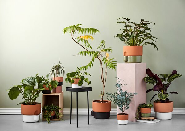 Northern designové květináče Oasis Small