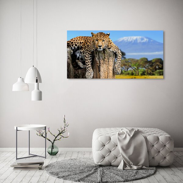 Foto obraz na plátně Leopart na kmeni oc-66888484